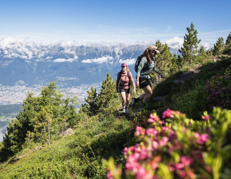 Wanderer am Zirbenweg