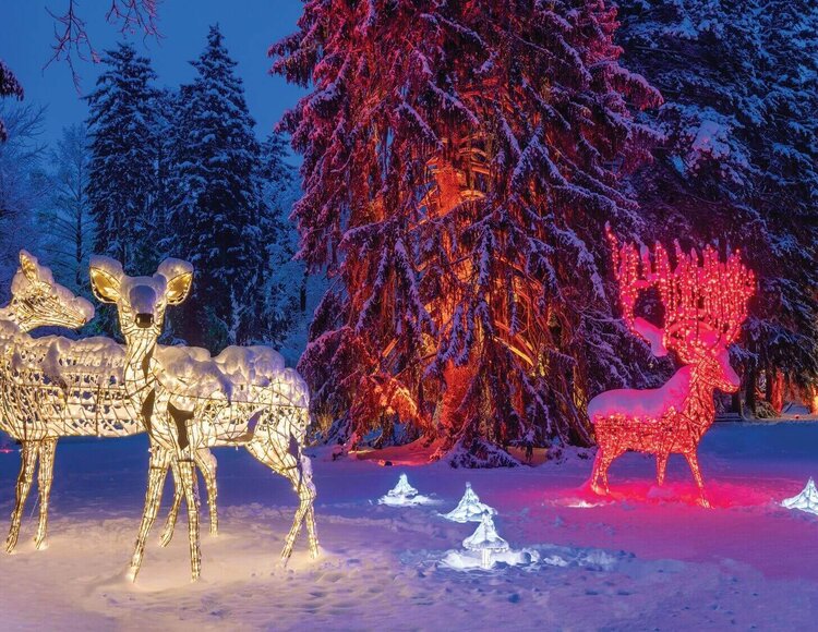 Lumagica im Winter