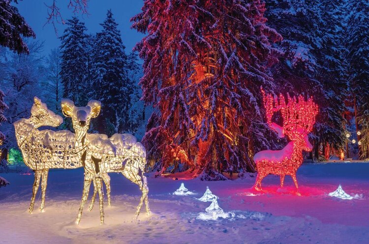Lumagica im Winter